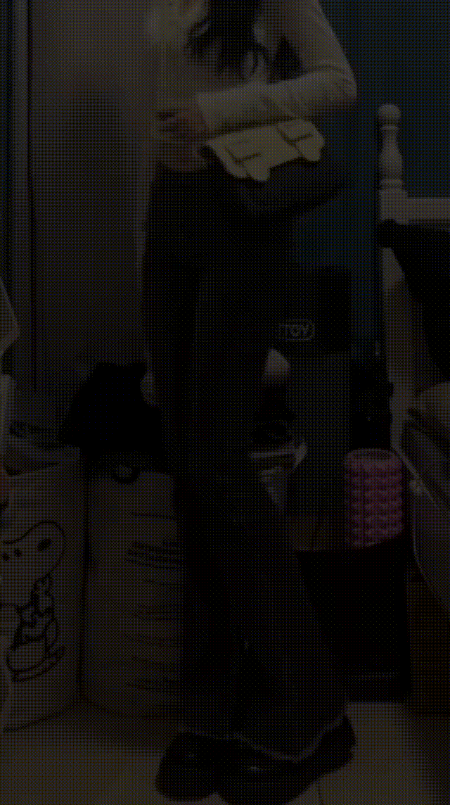 P_019.gif